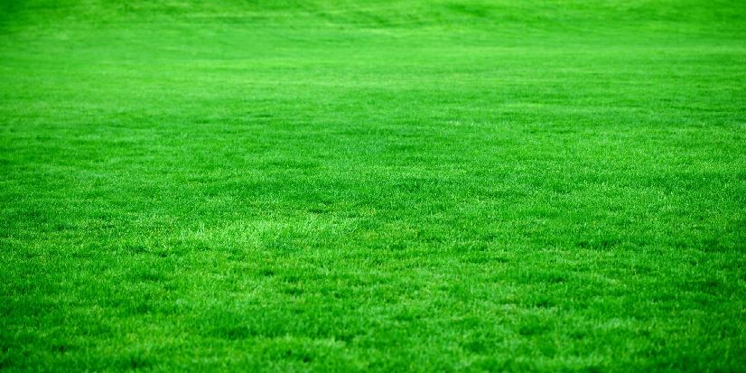 Summer Jobs for Students: Landscaping