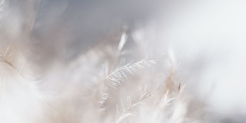 Think it through before you speak