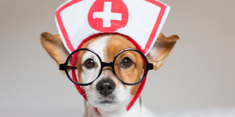 Home Health RN - Weekends, On-Call